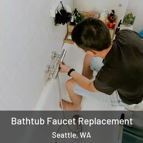  Bathtub Faucet Replacement Seattle, WA