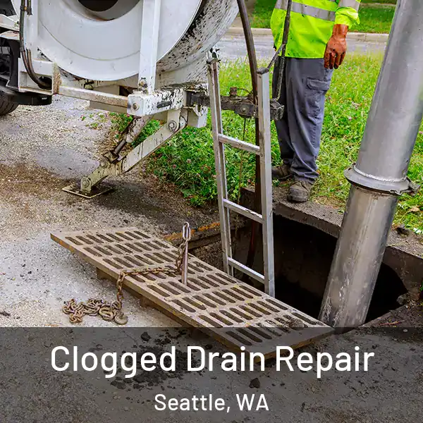  Clogged Drain Repair Seattle, WA