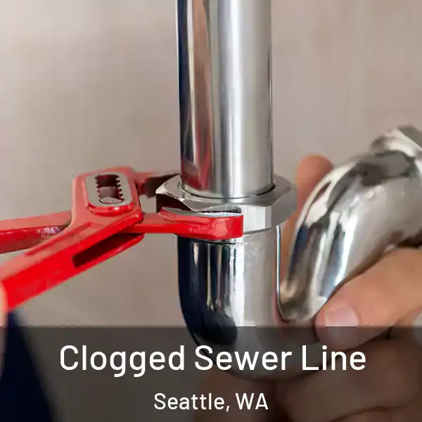  Clogged Sewer Line Seattle, WA