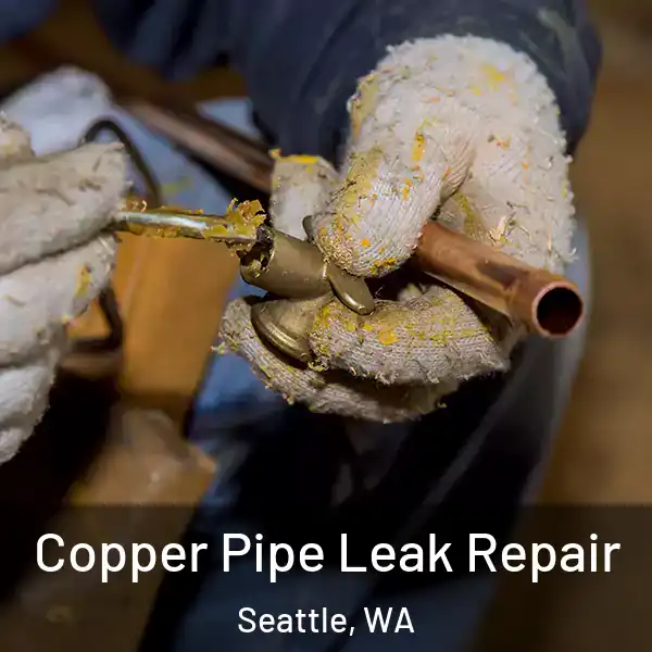  Copper Pipe Leak Repair Seattle, WA