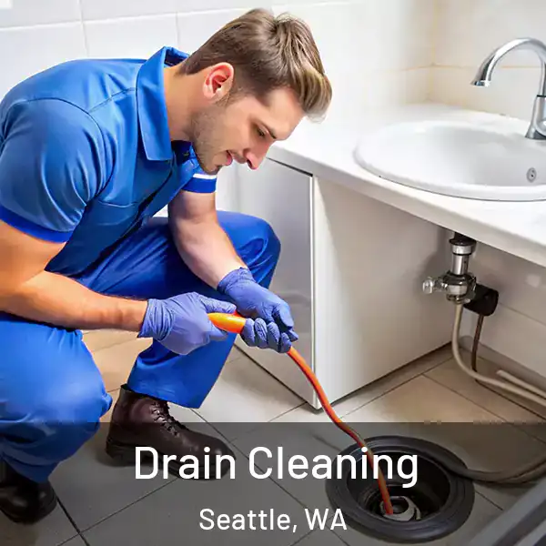  Drain Cleaning Seattle, WA
