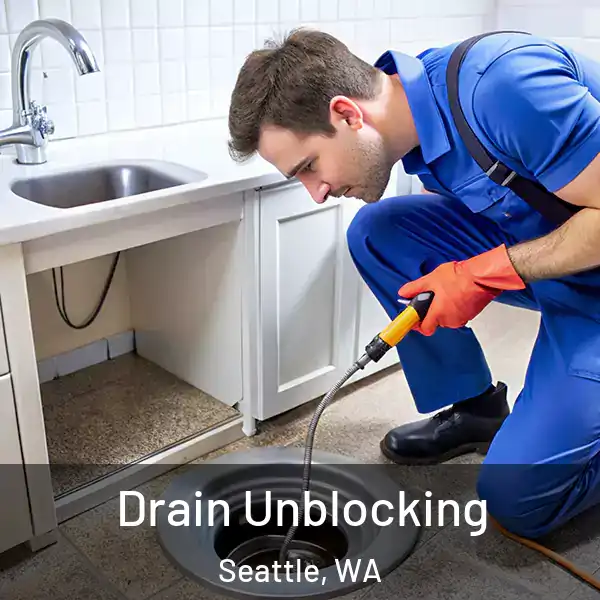  Drain Unblocking Seattle, WA