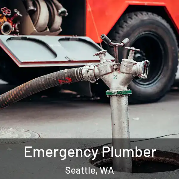  Emergency Plumber Seattle, WA