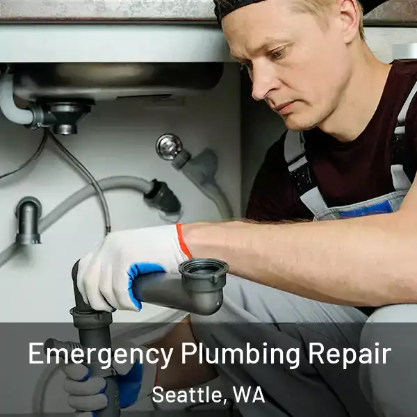 Emergency Plumbing Repair Seattle, WA