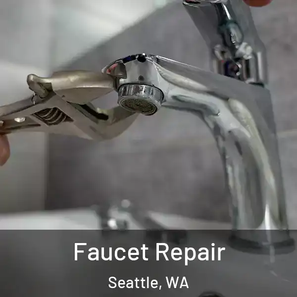  Faucet Repair Seattle, WA