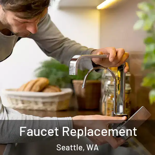  Faucet Replacement Seattle, WA