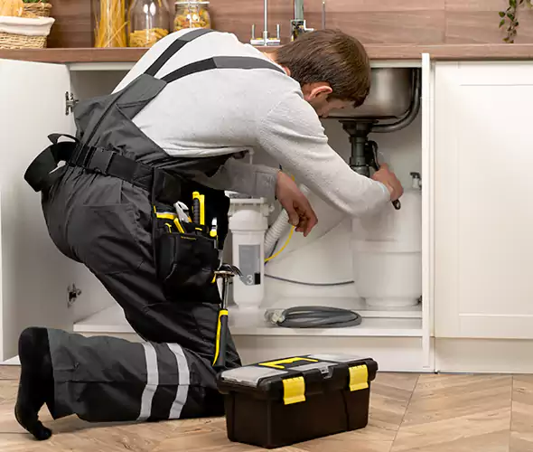 Certified Plumbers for Insinkerator Installation in Seattle