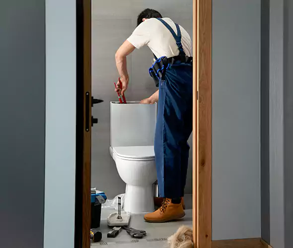 Professional Plumbers for Toilet Bowl Replacement in Seattle, WA: Schedule Affordable Toilet Replacement Services With Us