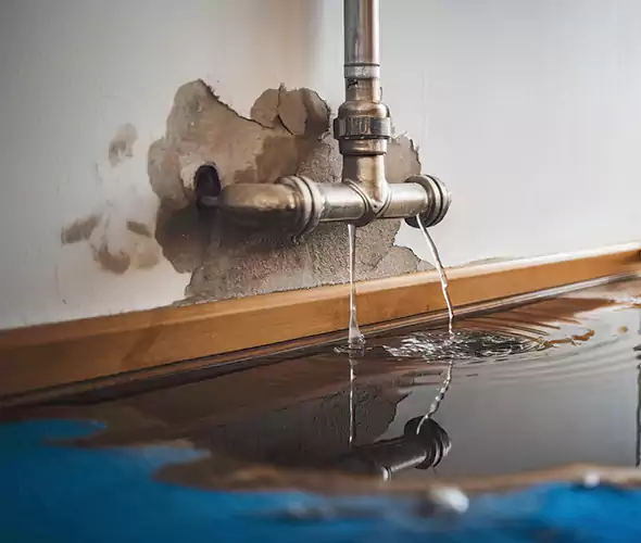 Professional Water Damage Restoration Experts in Seattle, WA — Fast, Reliable & Certified