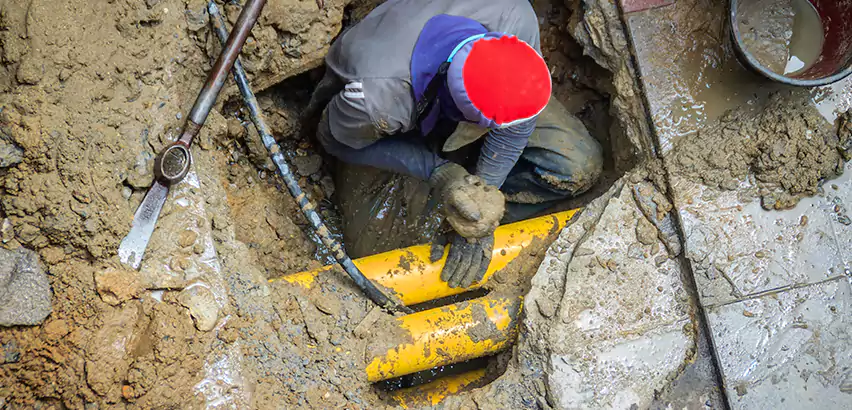 Clogged Drain Repair in Seattle, WA