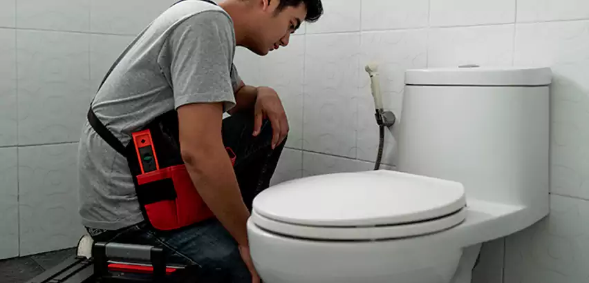Toilet Repair in Seattle