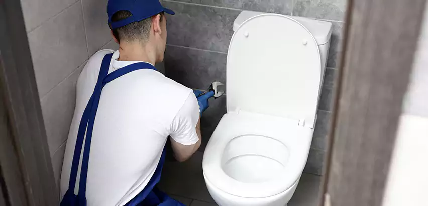 Toilet Lid Replacement in Seattle
