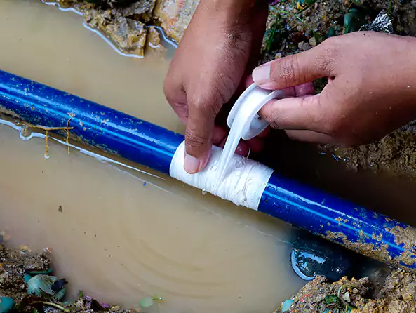  Why Choose Mr. Plumbing and Heat for Leak Detection in Seattle, WA?]