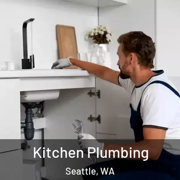  Kitchen Plumbing Seattle, WA
