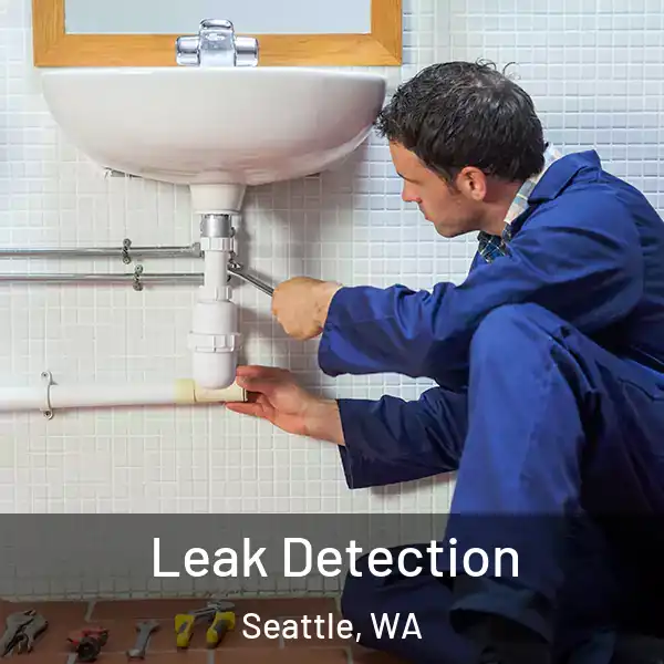  Leak Detection Seattle, WA