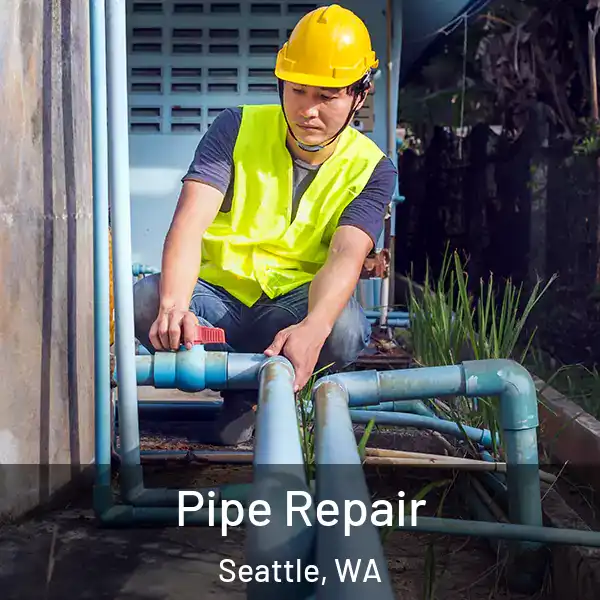  Pipe Repair Seattle, WA
