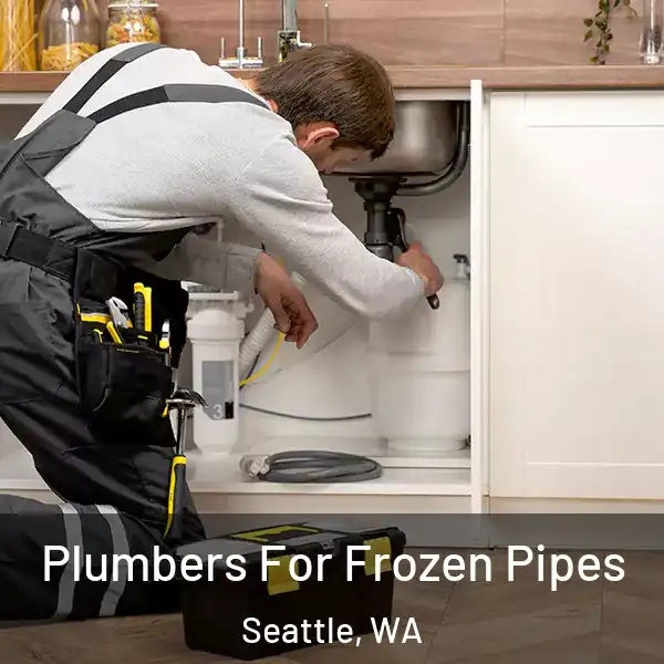  Plumbers For Frozen Pipes Seattle, WA