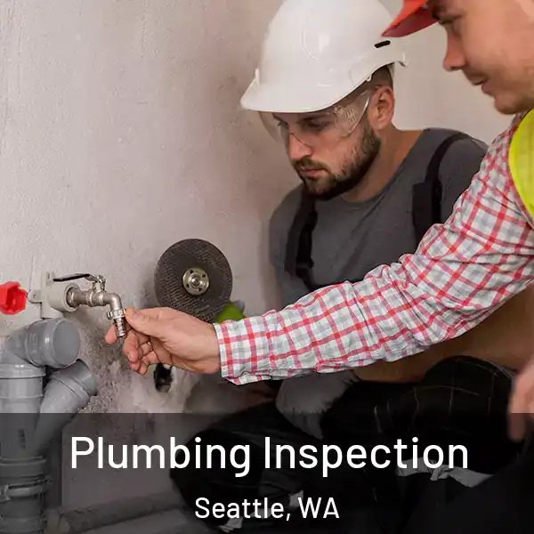  Plumbing Inspection Seattle, WA