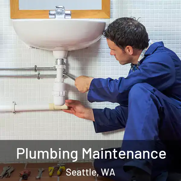  Plumbing Maintenance Seattle, WA