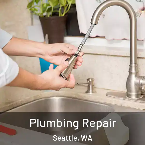  Plumbing Repair Seattle, WA