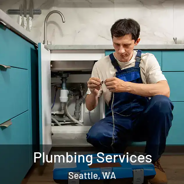  Plumbing Services Seattle, WA
