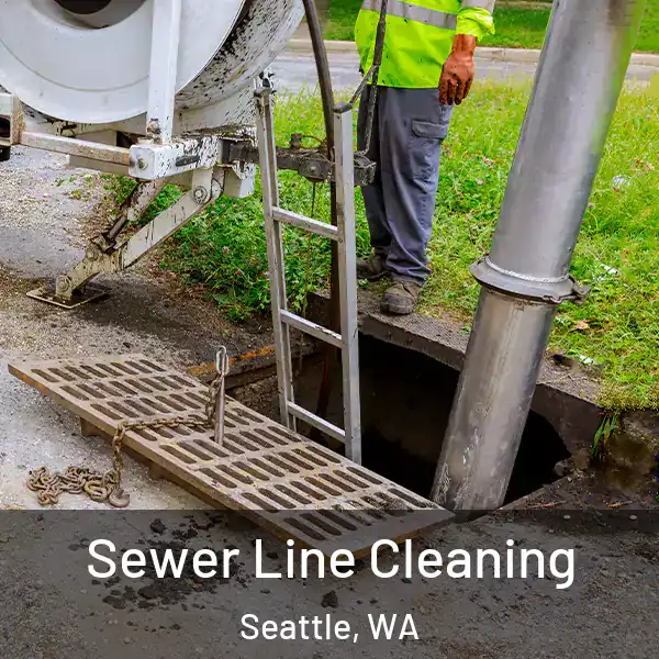  Sewer Line Cleaning Seattle, WA