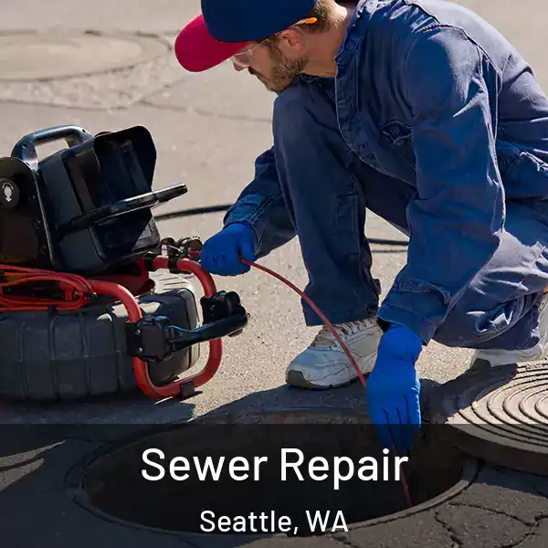  Sewer Repair Seattle, WA