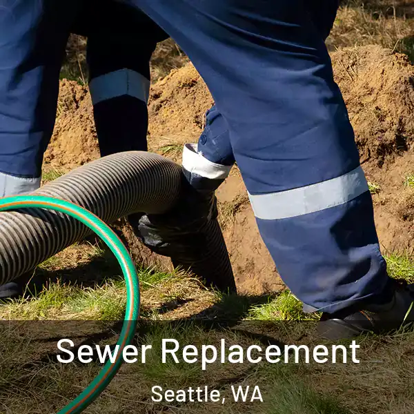  Sewer Replacement Seattle, WA