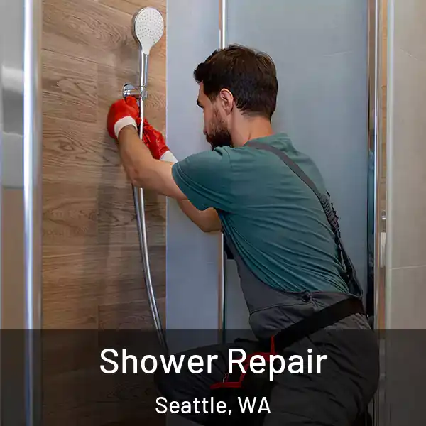  Shower Repair Seattle, WA