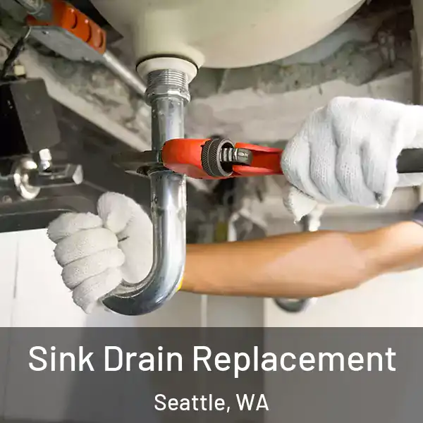  Sink Drain Replacement Seattle, WA