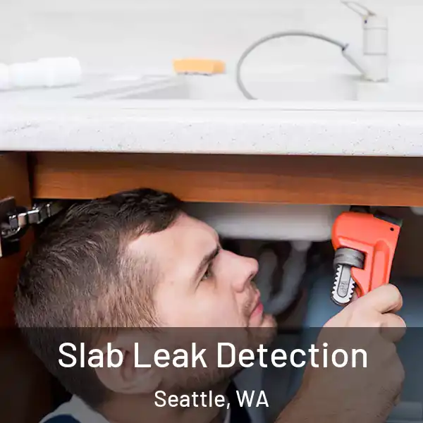  Slab Leak Detection Seattle, WA