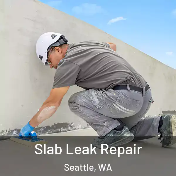  Slab Leak Repair Seattle, WA