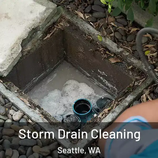  Storm Drain Cleaning Seattle, WA