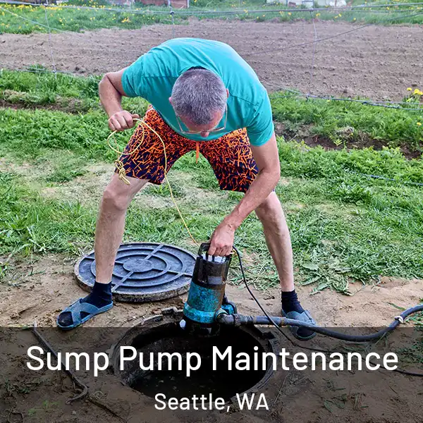  Sump Pump Maintenance Seattle, WA