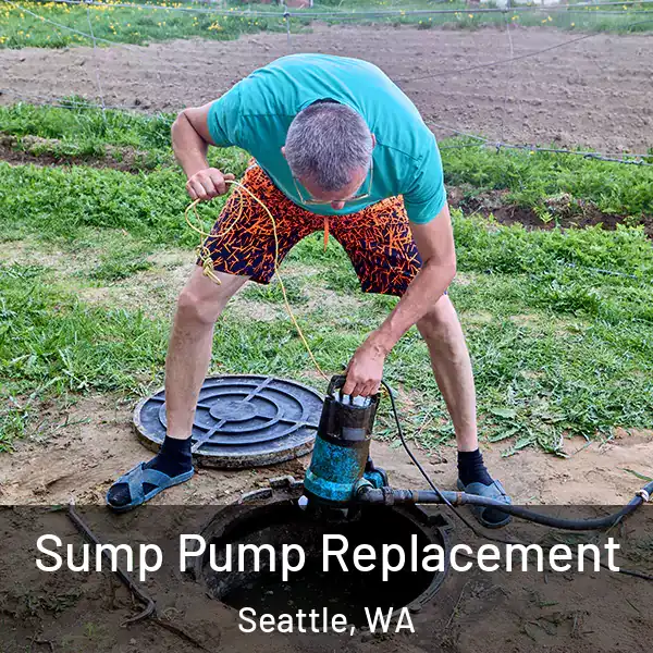  Sump Pump Replacement Seattle, WA