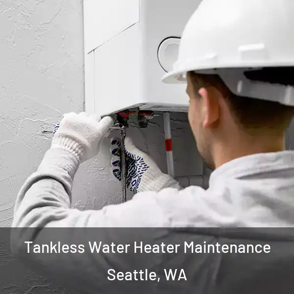  Tankless Water Heater Maintenance Seattle, WA