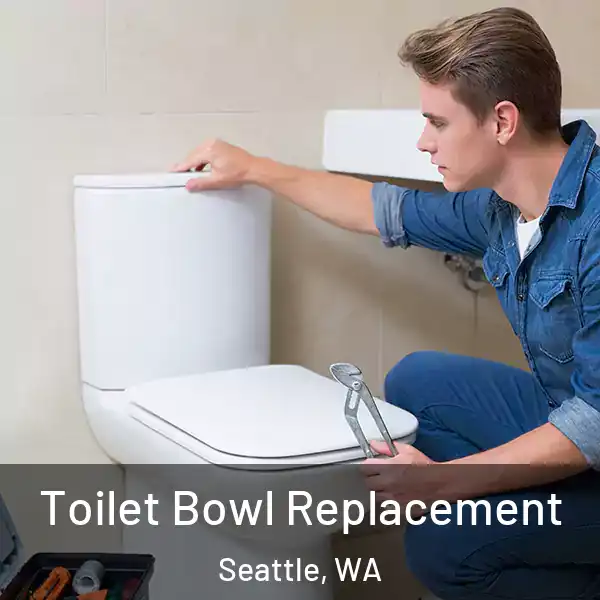 Toilet Bowl Replacement Seattle, WA