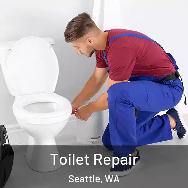  Toilet Repair Seattle, WA