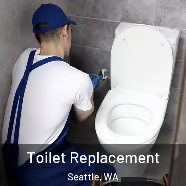  Toilet Replacement Seattle, WA