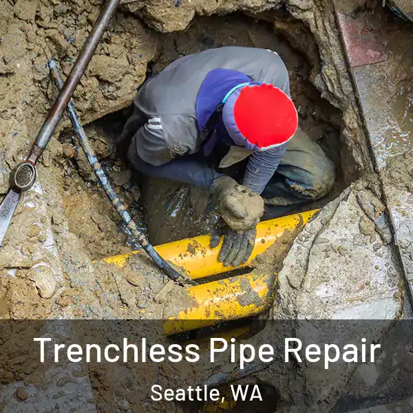  Trenchless Pipe Repair Seattle, WA