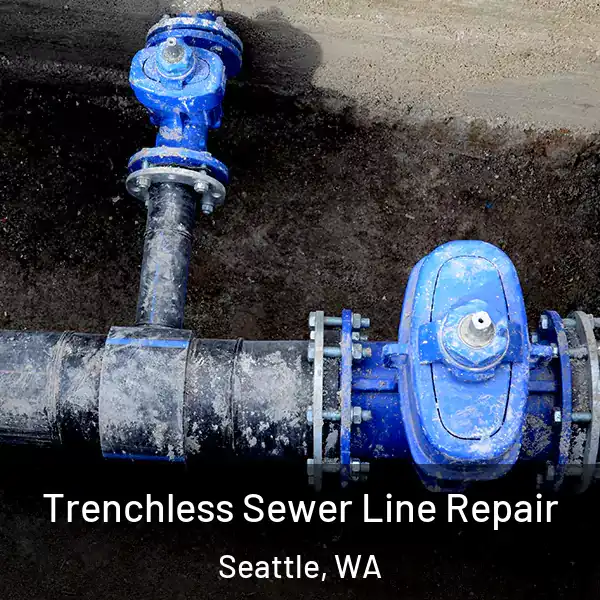  Trenchless Sewer Line Repair Seattle, WA