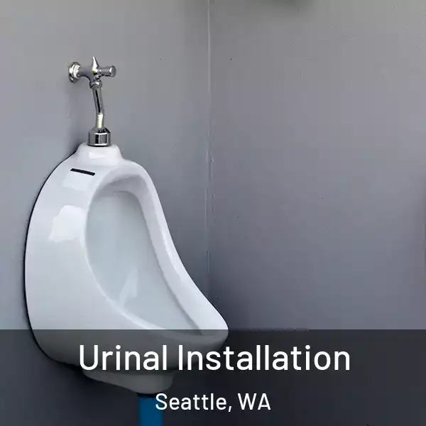  Urinal Installation Seattle, WA