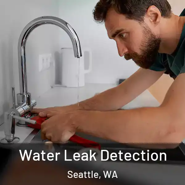  Water Leak Detection Seattle, WA