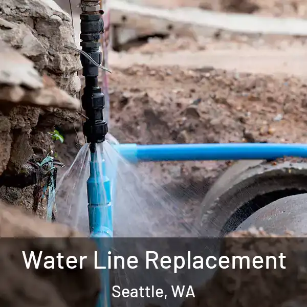  Water Line Replacement Seattle, WA